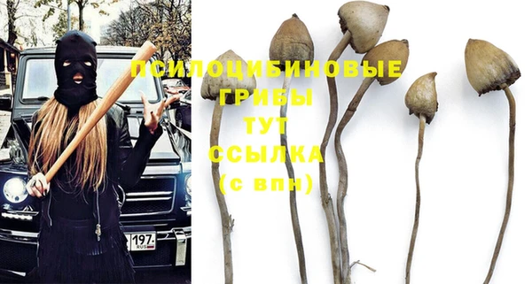 дживик Алексин