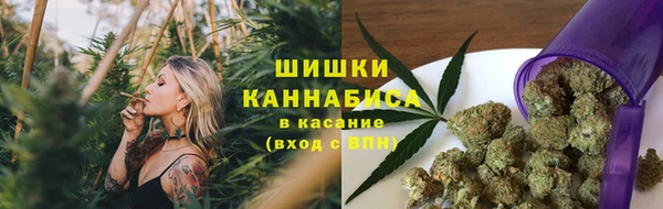Альфа ПВП Алзамай